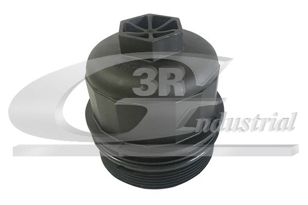 Alyvos filtro korpuso dangtis 3RG 80464