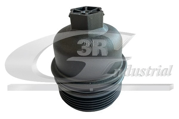 Alyvos filtro korpuso dangtis 3RG 82649