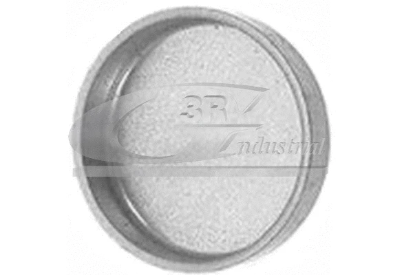Užšalęs kaištis 3RG 84030