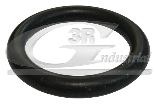 Įsiurbimo kolektoriaus tarpinė 3RG 84219