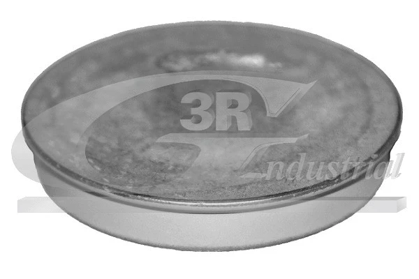 Rato stebulės apsauginis dangtelis 3RG 84702