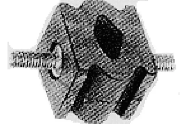 Išmetimo sistemos laikiklis Metalcaucho 00205