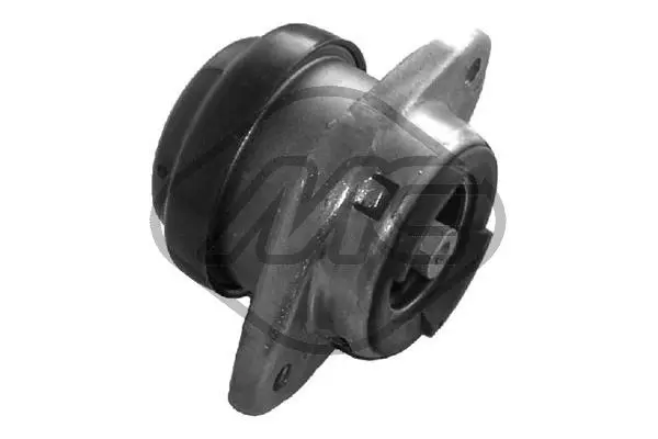 Variklio montavimas Metalcaucho 02959