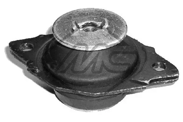 Variklio montavimas Metalcaucho 04366