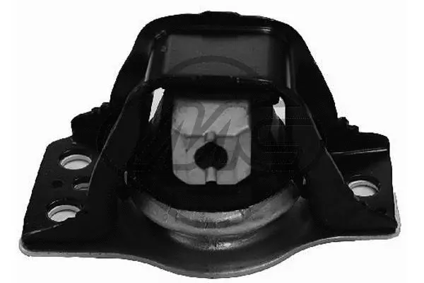 Variklio montavimas Metalcaucho 04638