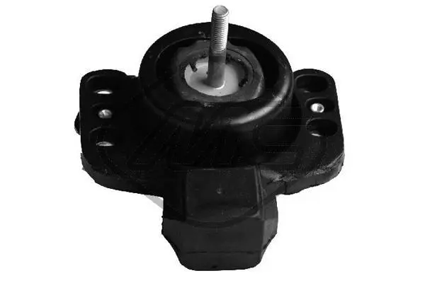 Variklio montavimas Metalcaucho 04776