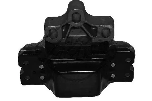 Variklio montavimas Metalcaucho 04868
