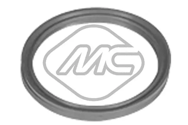 Turbinos oro žarnos tarpinė Metalcaucho 98720