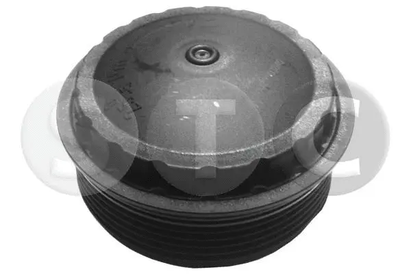 Alyvos filtro korpuso dangtis STC T403840