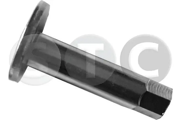 Vikšro valdymo svirtis STC T439277