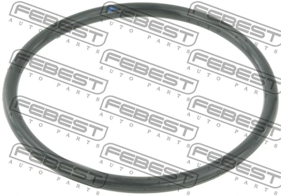 Droselio korpuso tarpinė FEBEST RINGAH-010