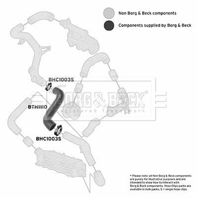 Kompresoriaus padavimo žarna BORG & BECK BTH1110