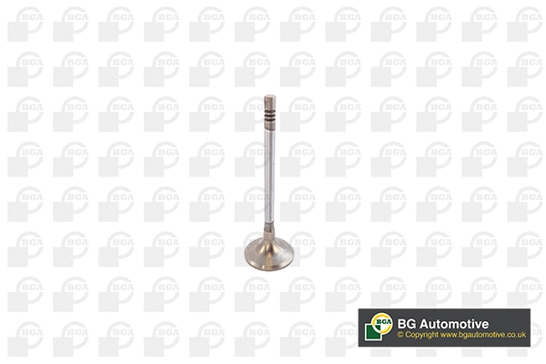 Įvado vožtuvas BGA V142049