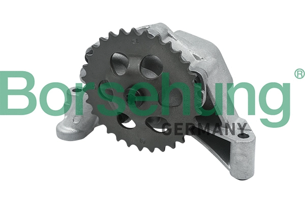 Alyvos siurblys Borsehung B12689