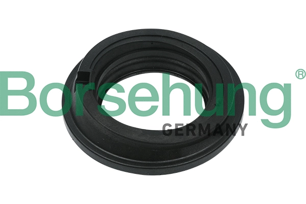 Pakabos statramsčio atramos montavimo frikcinis guolis Borsehung B17827