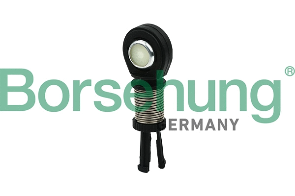 Neautomatinės transmisijo trosas Borsehung B18199
