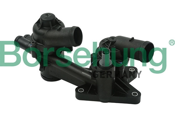 Termostatas Borsehung B18249