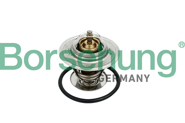 Termostatas Borsehung B18259