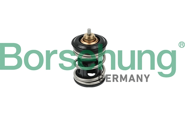 Termostatas Borsehung B18261