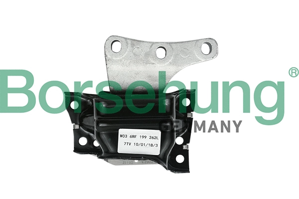 Variklio montavimas Borsehung B18513