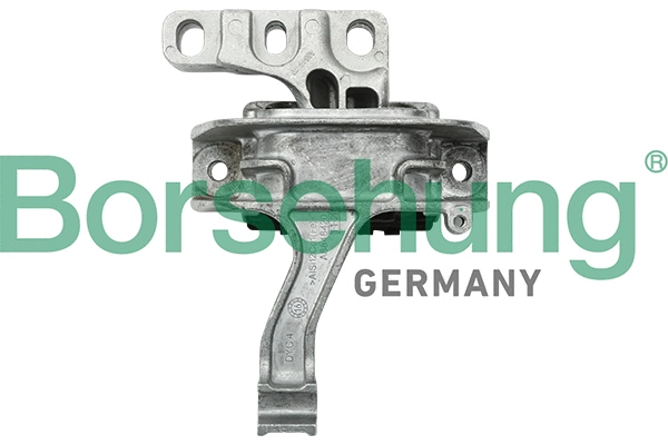 Variklio montavimas Borsehung B18761