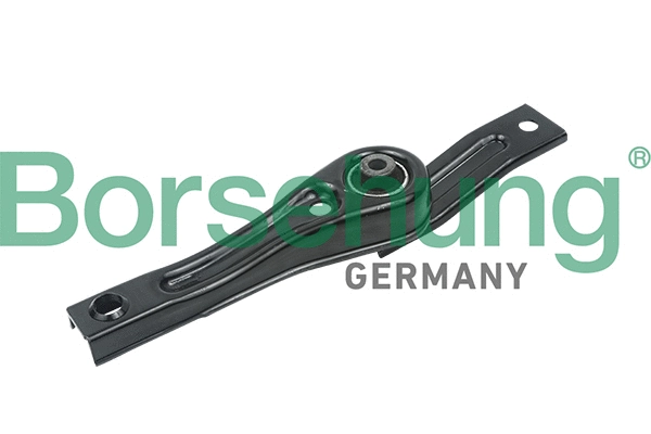Variklio montavimas Borsehung B18764