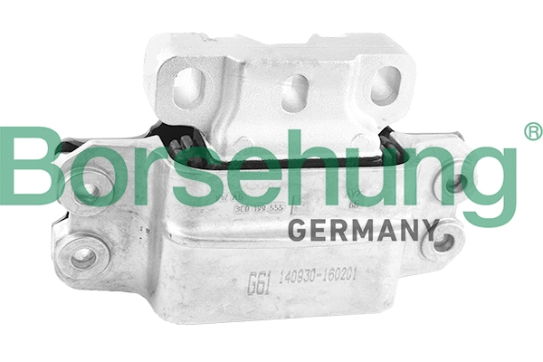 Variklio montavimas Borsehung B18935
