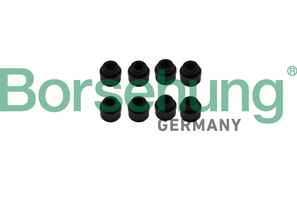 Vožtuvo riebokšlis Borsehung B19239