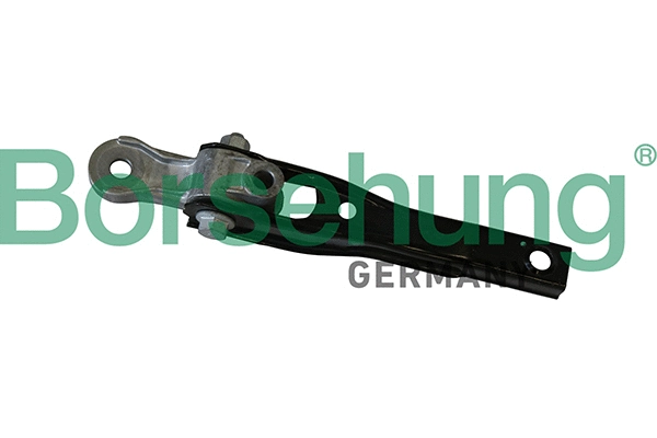 Variklio montavimas Borsehung B19304