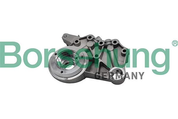 Skirstomojo veleno įvorės Borsehung B19307