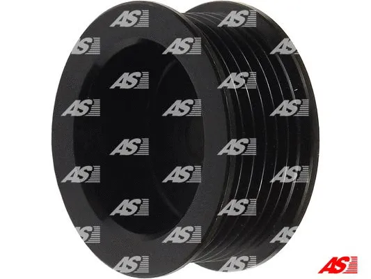 Kintamosios srovės generatoriaus skriemulys AS-PL AP6009