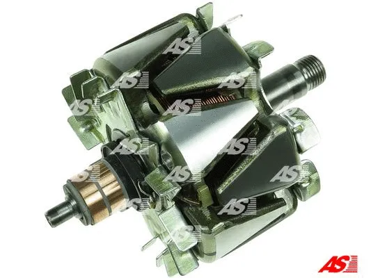 Kintamosios srovės generatoriaus rotorius AS-PL AR5010