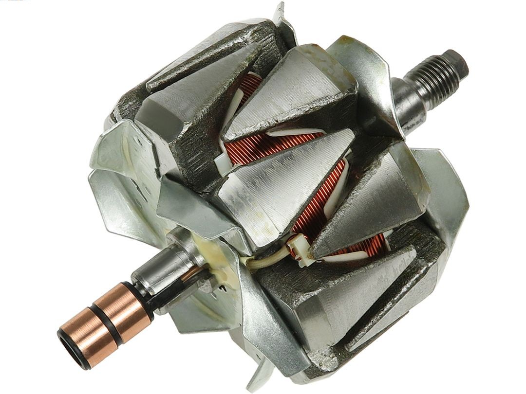 Kintamosios srovės generatoriaus rotorius AS-PL AR6011