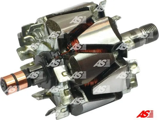 Kintamosios srovės generatoriaus rotorius AS-PL AR6012