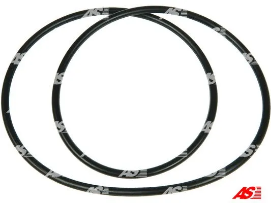 Kintamosios srovės generatoriaus remonto komplektas AS-PL ARS2034S