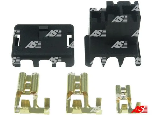 Kintamosios srovės generatoriaus remonto komplektas AS-PL ATP4001