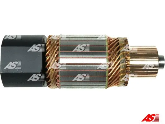 Starterio ankeris AS-PL SA0009