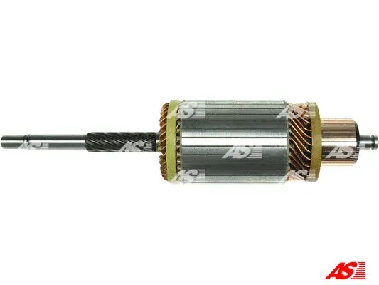 Starterio ankeris AS-PL SA0012