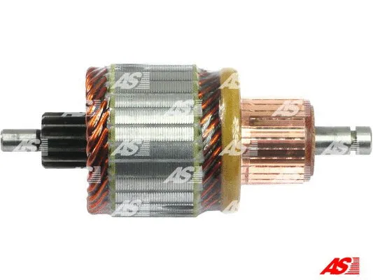 Starterio ankeris AS-PL SA0060
