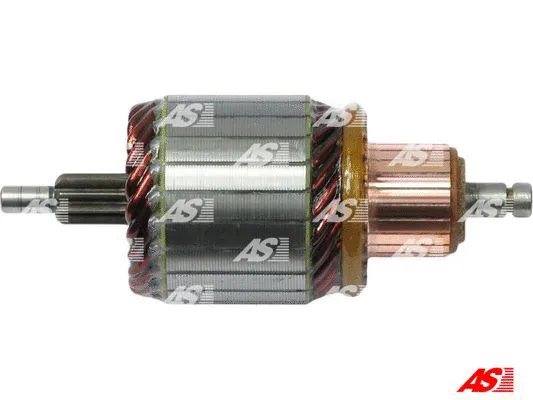 Starterio ankeris AS-PL SA0061