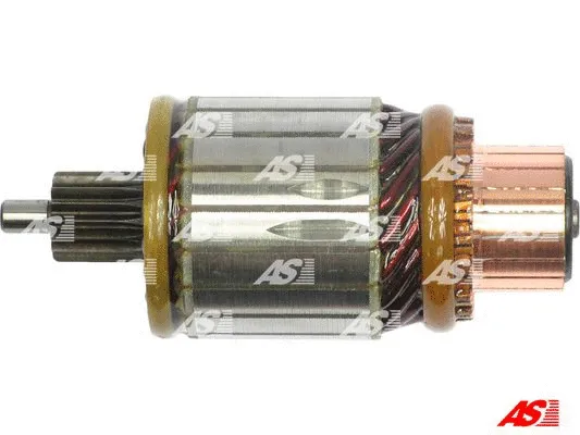 Starterio ankeris AS-PL SA3017
