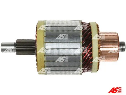Starterio ankeris AS-PL SA5010