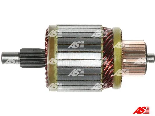 Starterio ankeris AS-PL SA5011