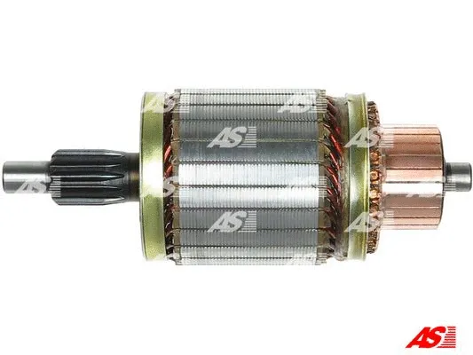 Starterio ankeris AS-PL SA5012