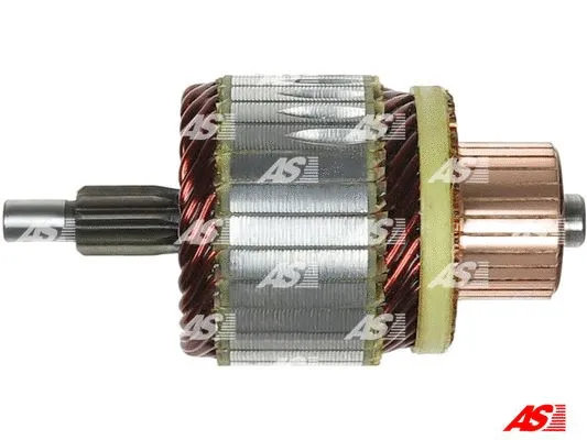 Starterio ankeris AS-PL SA5013