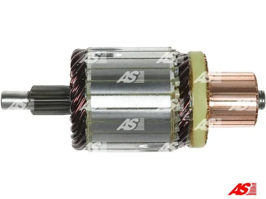 Starterio ankeris AS-PL SA5018