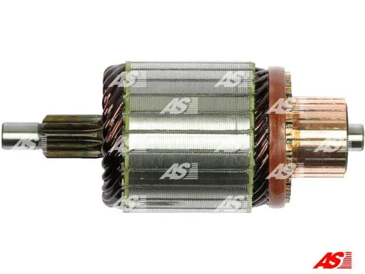 Starterio ankeris AS-PL SA5022