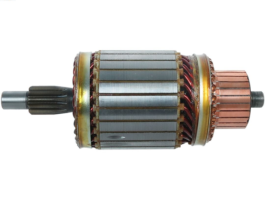 Starterio ankeris AS-PL SA5030