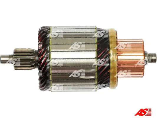 Starterio ankeris AS-PL SA5040