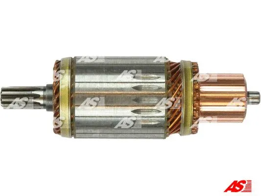 Starterio ankeris AS-PL SA6002